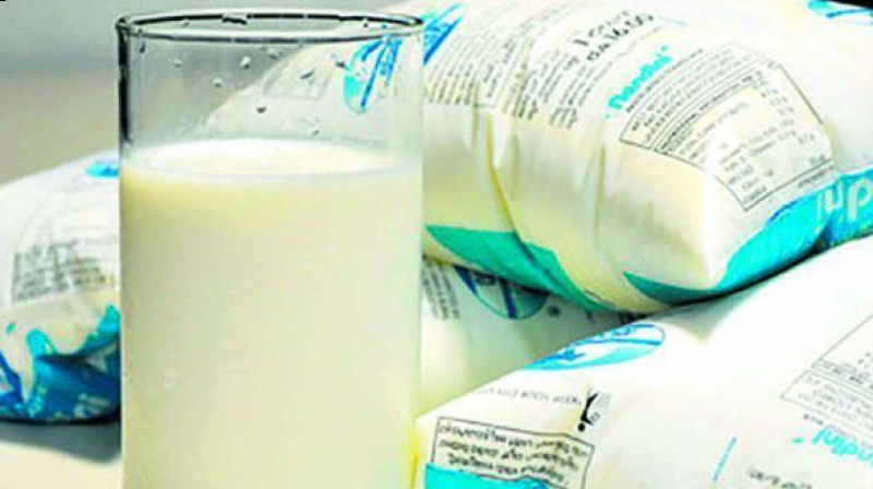 milkinhyderabadmarketsunsafeforconsumption:study